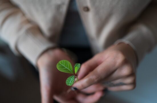 Unternehmensnachfolge in Familienunternehmen: Erfolgreich über Generationen sichern
